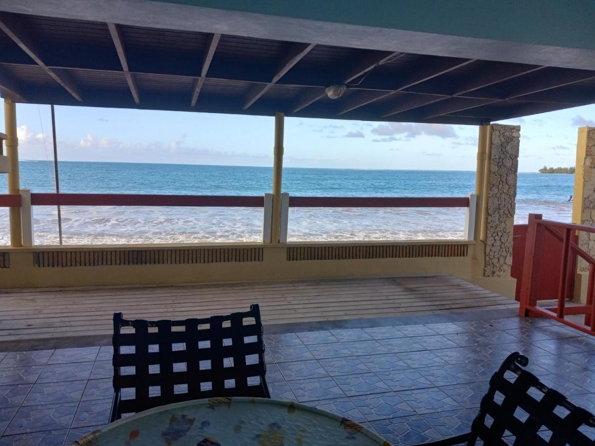 Selva Boutique Hotel - Luquillo Oceanfront Retreat - Adults Only Buitenkant foto