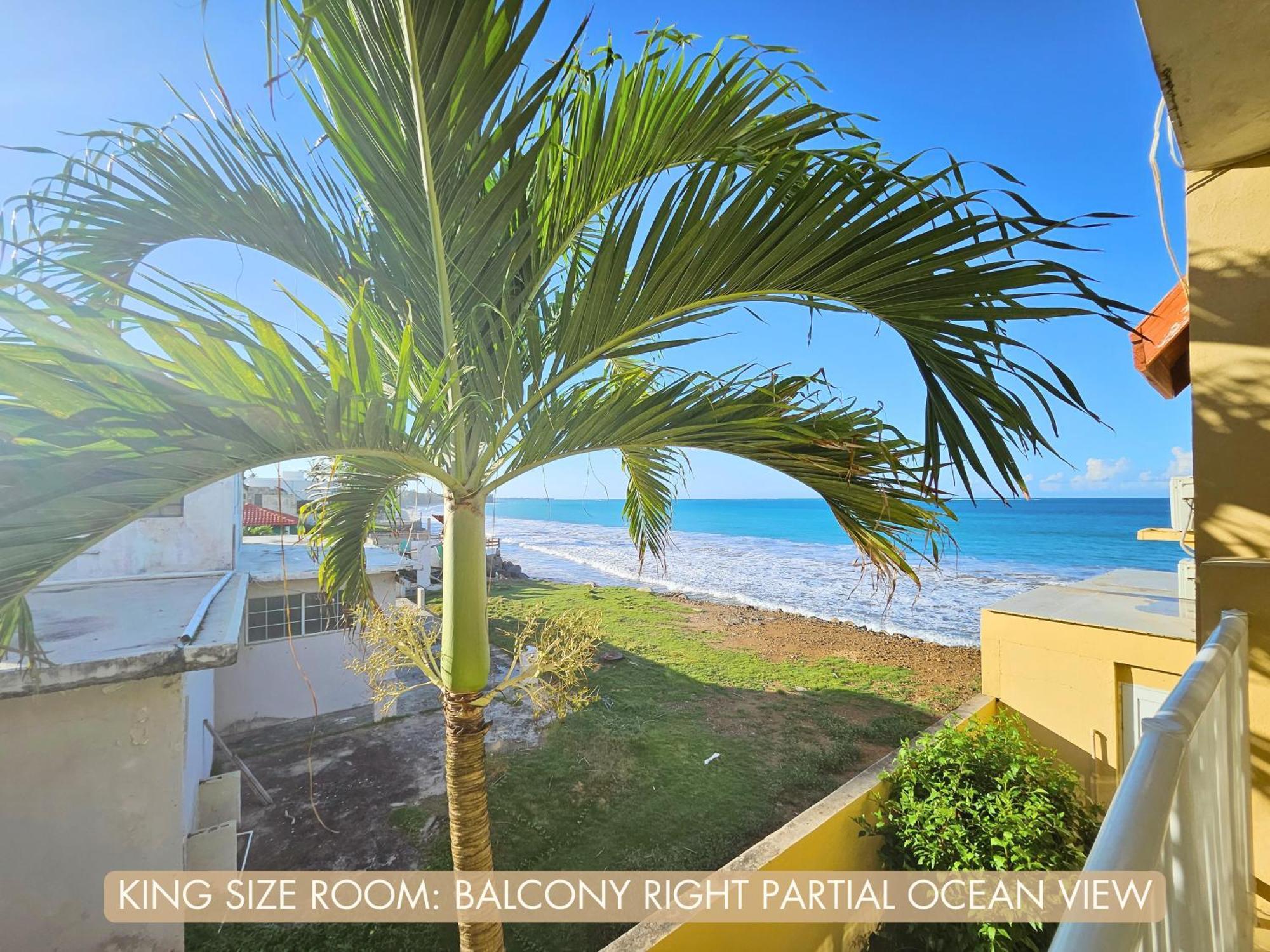 Selva Boutique Hotel - Luquillo Oceanfront Retreat - Adults Only Buitenkant foto